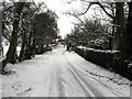 Snow covered road to Selson