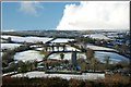 Snowy Landscape