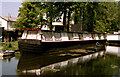 Basingstoke Canal:  Houseboats