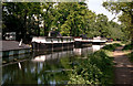 Basingstoke Canal:  Houseboats