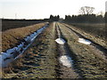TL1380 : Farm track and footpath near Hamerton by Michael Trolove