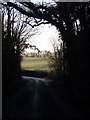 Spelmonden Road through Parsons Wood