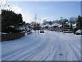 Lamppost in a snowy Chestnut Avenue