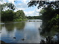 Allestree Lake in Derby