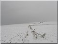 Footpath to Cattle Hill