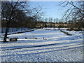 Pond in Maxwell Park