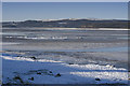 SD4780 : Frozen Kent Estuary by Tom Richardson