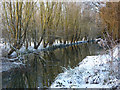 River Gipping north of Sproughton