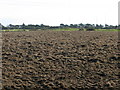 Looking E from the North Downs Way