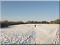 Benfield Valley Local Nature Reserve