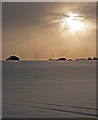 Snowfields near Golden Pot