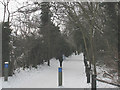 Cycle path alongside Elmstead Lane