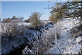 Calf Lake near Mill Bridge