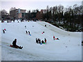 Sledging at St. Peter