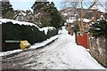 Richmonds Pitch in the snow