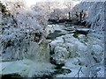 Frozen Bonnington Linn