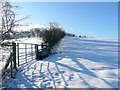 Uphill view from the mountain road