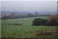 Small valley off Halsway Lane