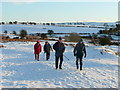 Walkers on Little Mountain