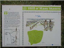 ND2938 : The Hill o' Many Stanes by David Purchase