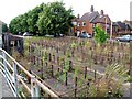 Cattle Market, Horncastle