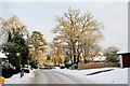 Rook Lane, Chaldon, Surrey