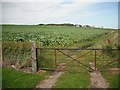 Arable land, East Haven