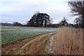 Arable field at Clifton Hampden