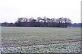 Arable field at Clifton Hampden