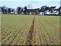 Footpath from Gottenham