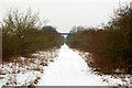 SP3866 : Dismantled railway trackbed in the snow (2) by Andy F