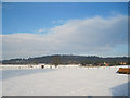 Snowy fields opposite Derwen garden centre