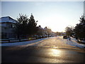 Belgrave Gardens from South Lodge Drive, London N14