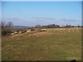 Footpath to Ascott