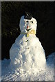 Snow man in Earl