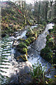 River Lariggan above Castle Horneck