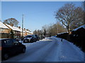 Passing Front Lawn schools in High Lawn Way