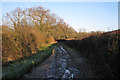 Bridleway to Chudleigh Knighton Heath