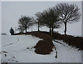 Lane to Hill Farm in snow