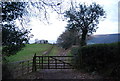 Gated track of Luccombe Lane