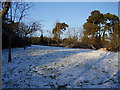 A dusting of snow