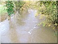 River Frome, Farleigh Hungerford