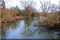 The River Thame at Brookhampton