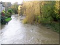 River Frome, Farleigh Hungerford