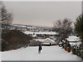 Tiverton : Field Behind Southfield Way