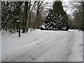 Road and footpath through Dale Park