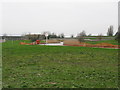 Pond in the grounds of the sewage works