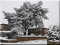 Ryefield Road, winter view