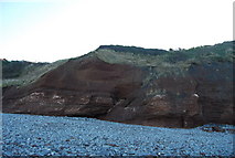 ST0643 : Red cliffs, Warren Bay by N Chadwick