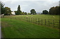 Grazing sheep adjacent to Llantarnam Abbey